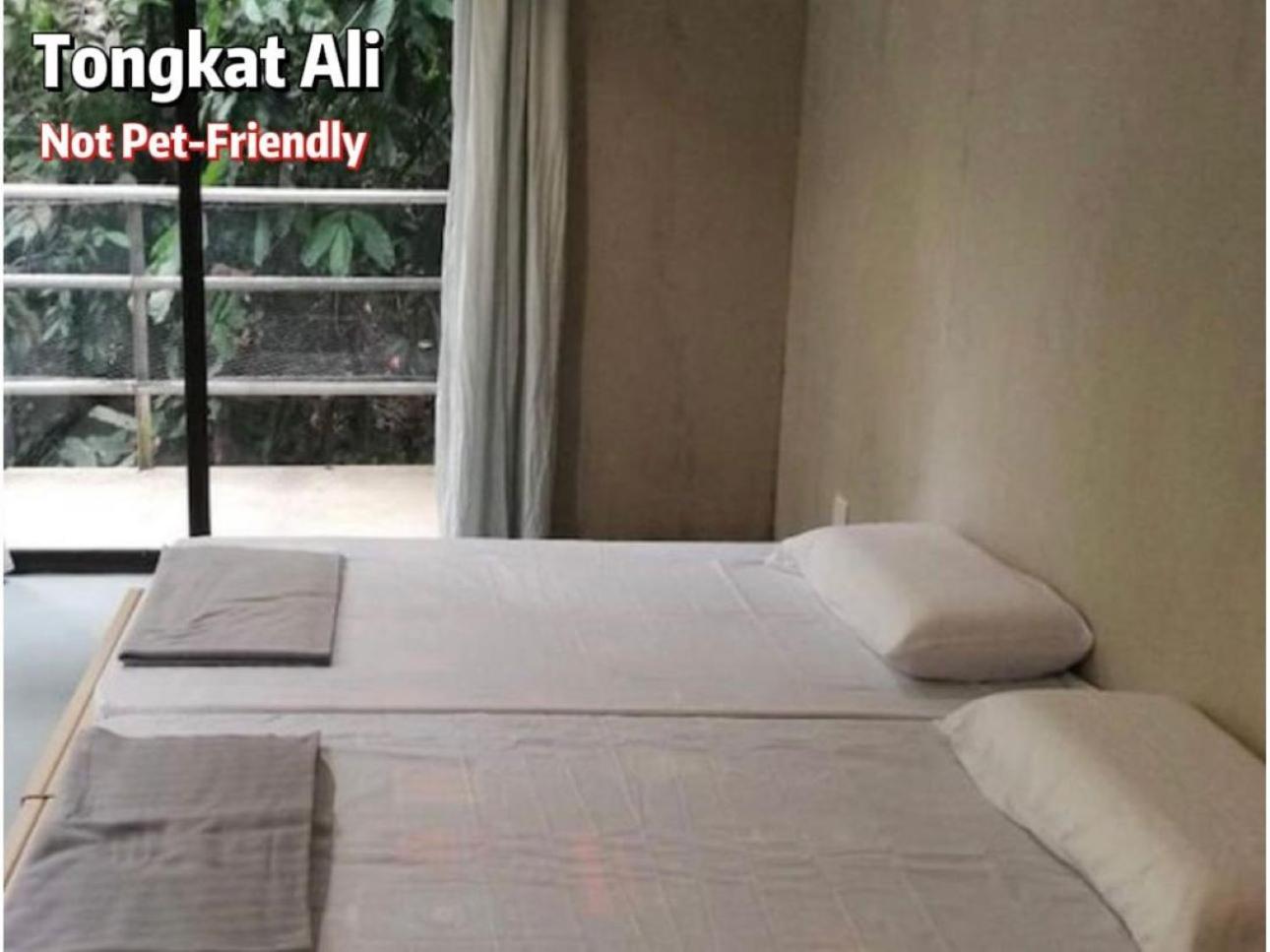 Gibbon Retreat Bentong Ξενοδοχείο Εξωτερικό φωτογραφία