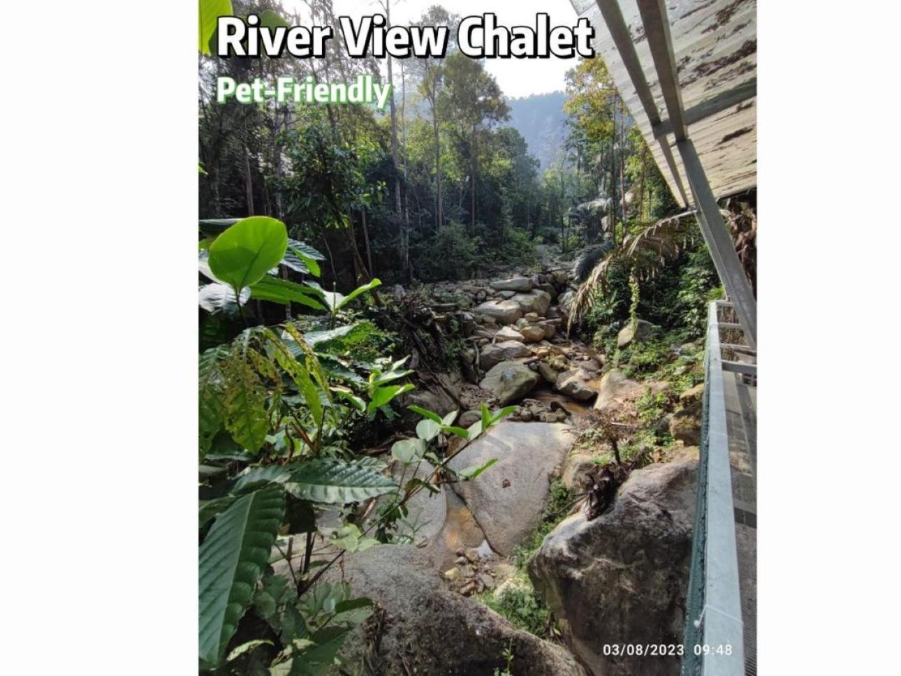 Gibbon Retreat Bentong Ξενοδοχείο Εξωτερικό φωτογραφία