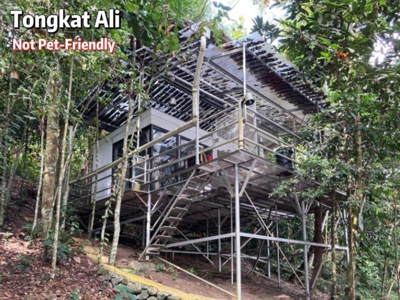 Gibbon Retreat Bentong Ξενοδοχείο Εξωτερικό φωτογραφία
